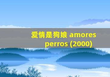 爱情是狗娘 amores perros (2000)